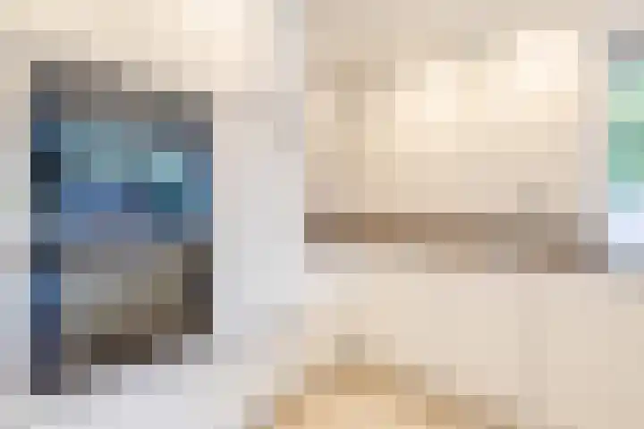 Mesdagstraat 5 Hoogeveen thumbnail 6