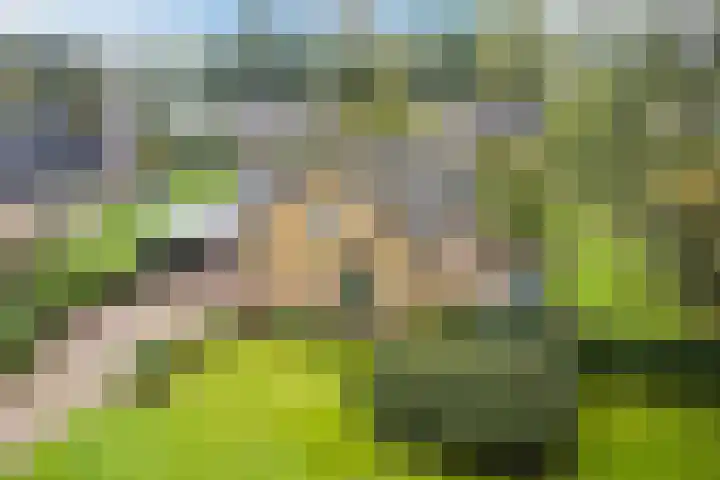Mesdagstraat 5 Hoogeveen thumbnail 60