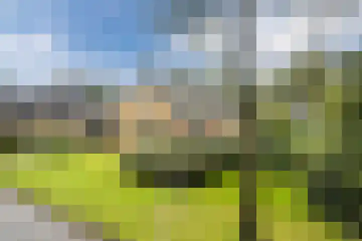 Mesdagstraat 5 Hoogeveen thumbnail 61