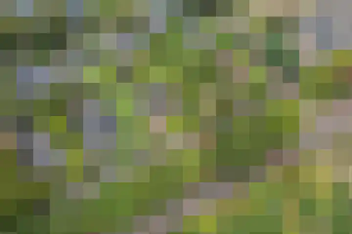 Mesdagstraat 5 Hoogeveen thumbnail 62
