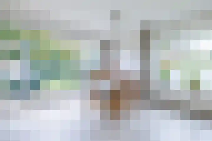 Mesdagstraat 5 Hoogeveen thumbnail 9