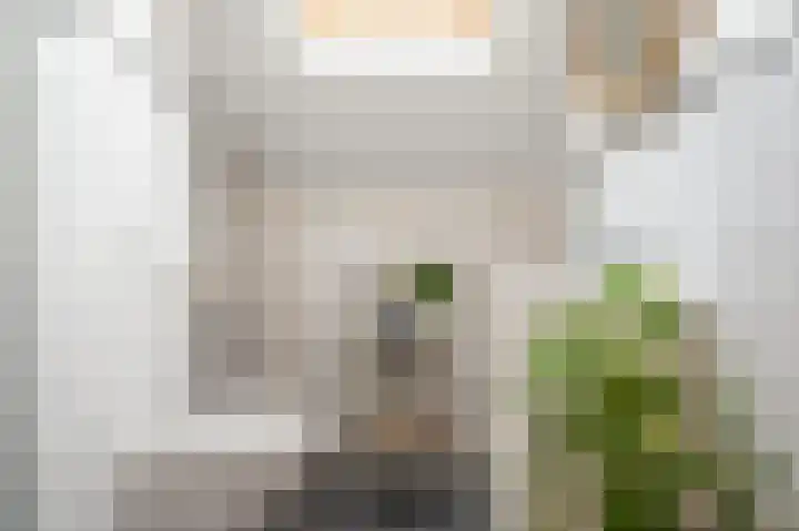 Mesdagstraat 5 Nijmegen thumbnail 32