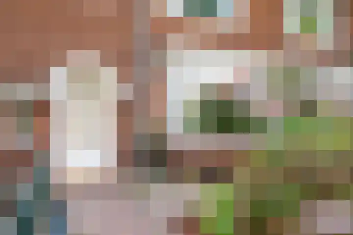 Mesdagstraat 5 Nijmegen thumbnail 51