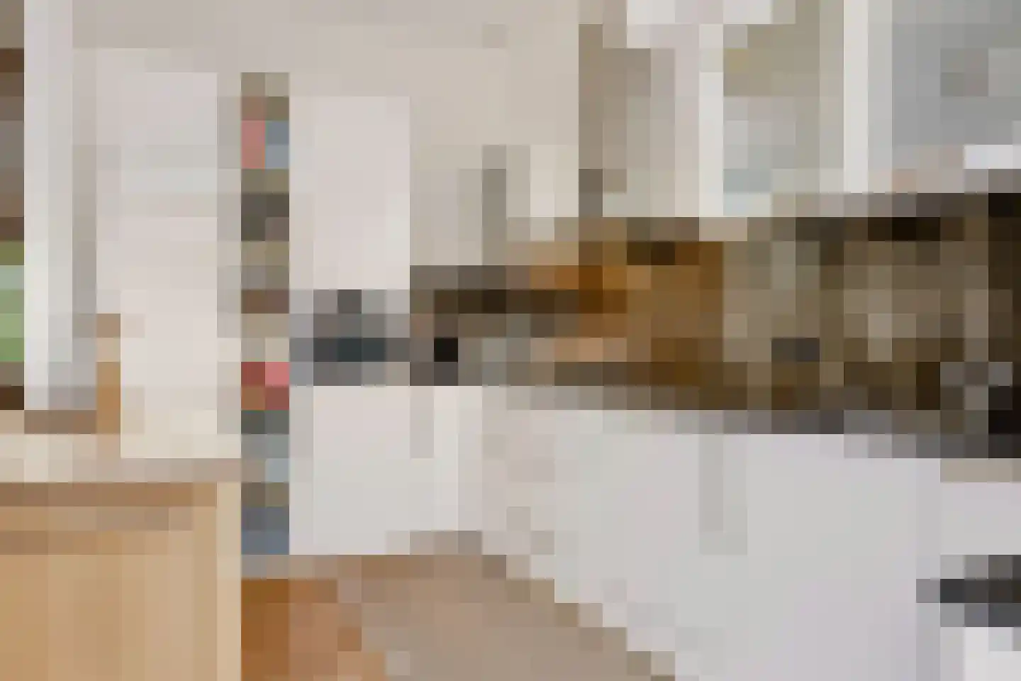 Mesdagstraat 51 Nijmegen thumbnail 10
