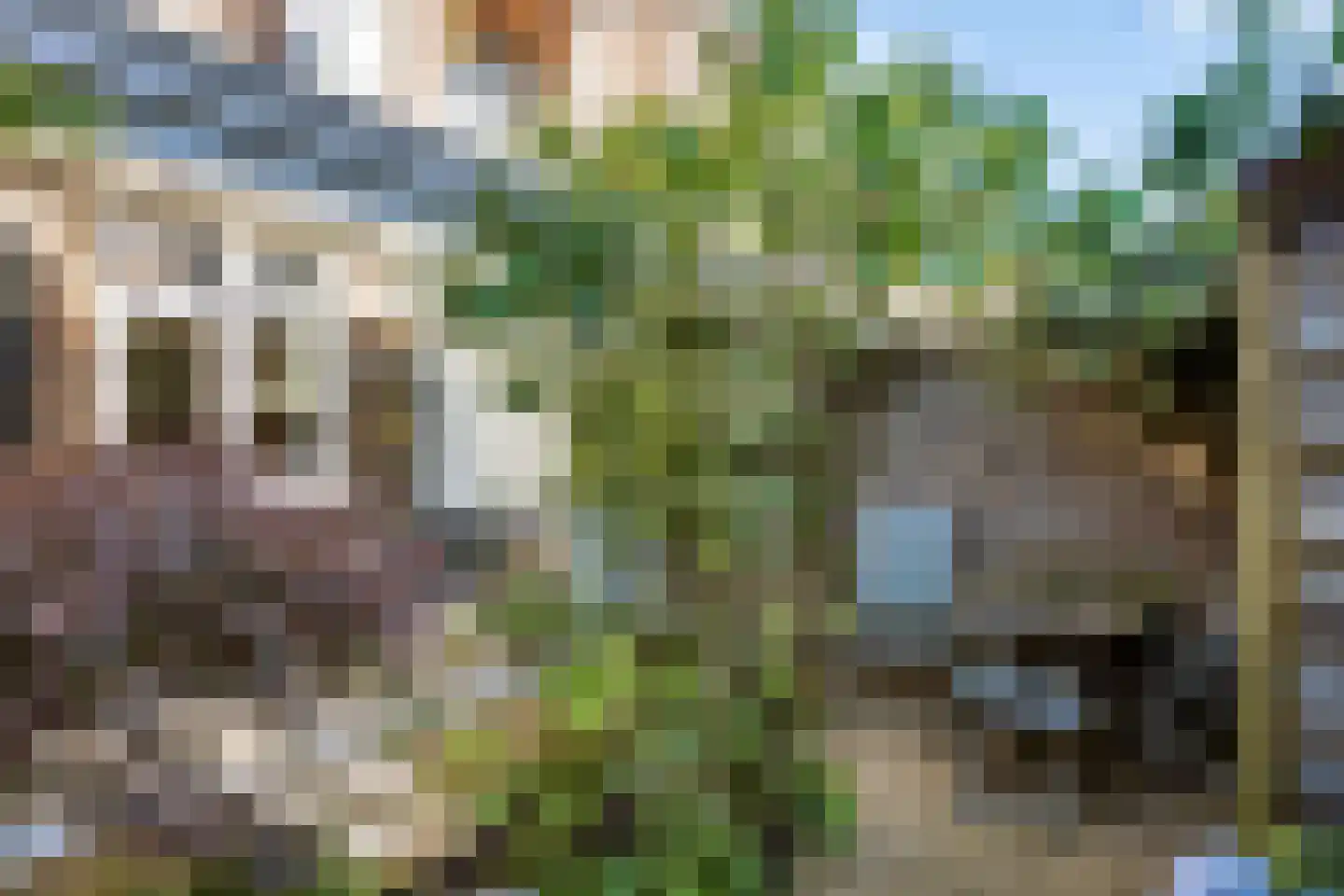 Mesdagstraat 51 Nijmegen thumbnail 6