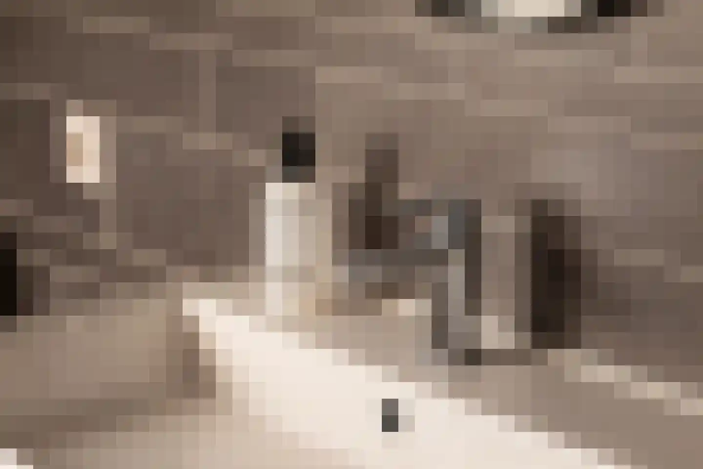 Mesdagstraat 53 E Amsterdam thumbnail 30
