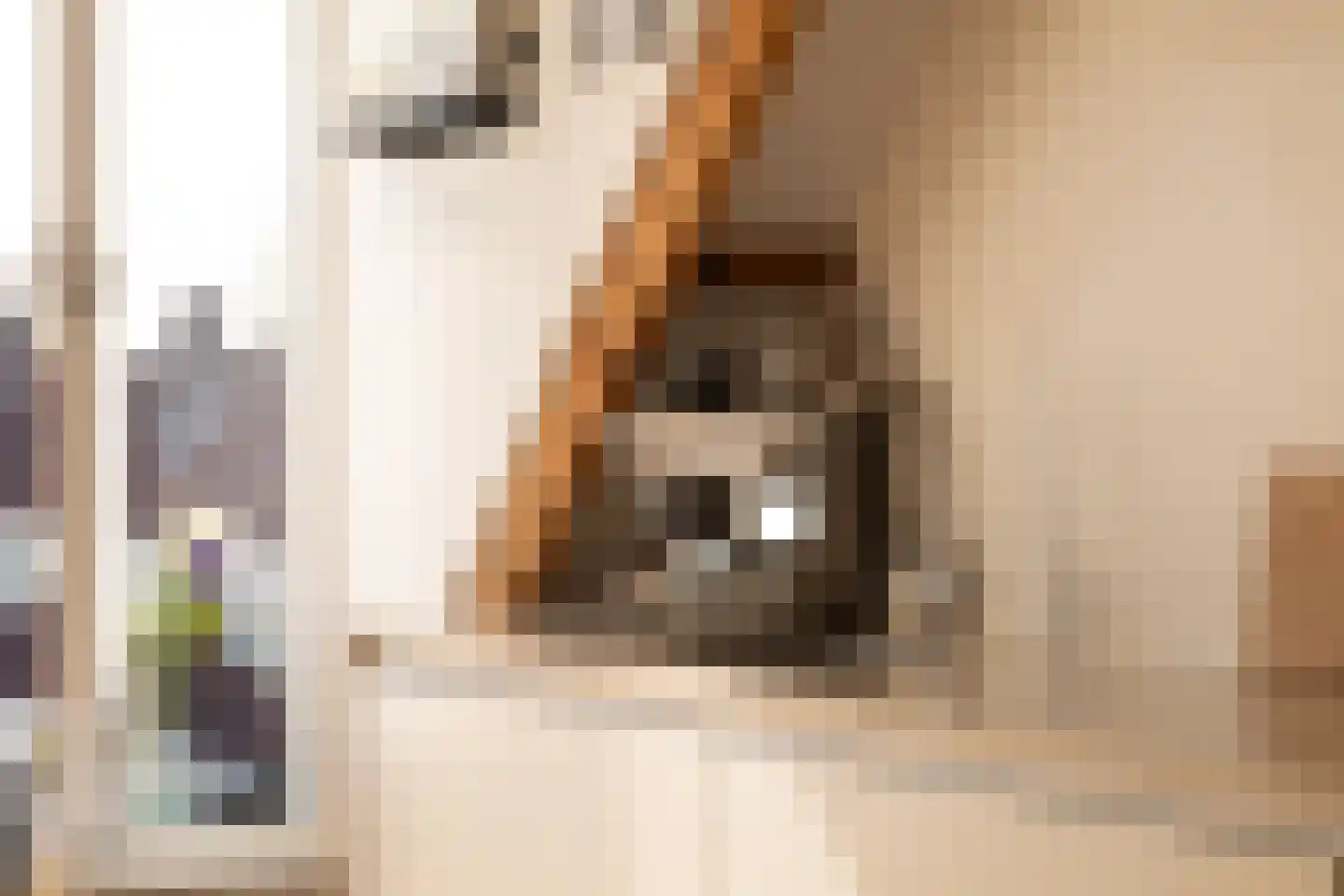 Mesdagstraat 53 E Amsterdam thumbnail 9