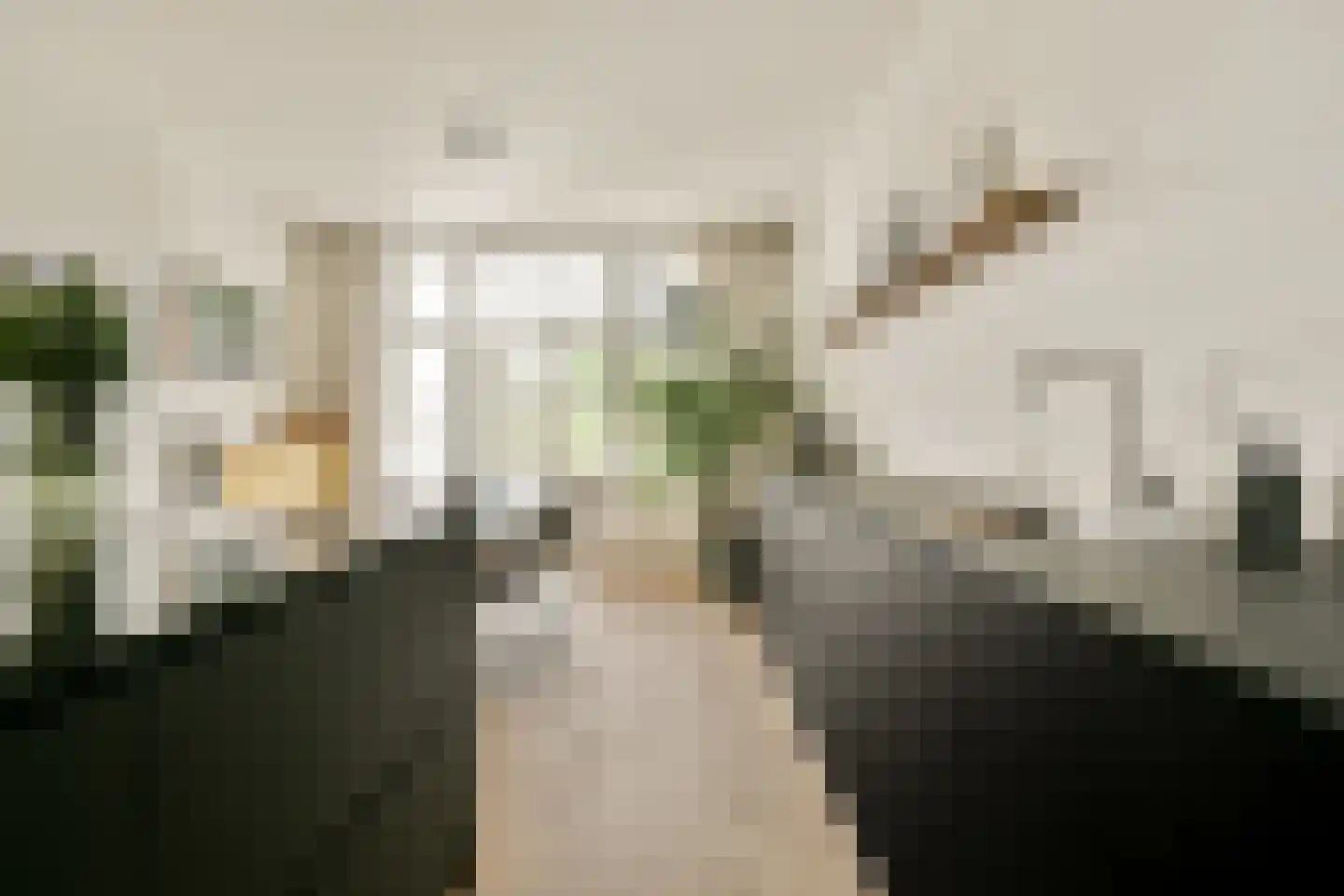 Mesdagstraat 55 4 Amsterdam thumbnail 10