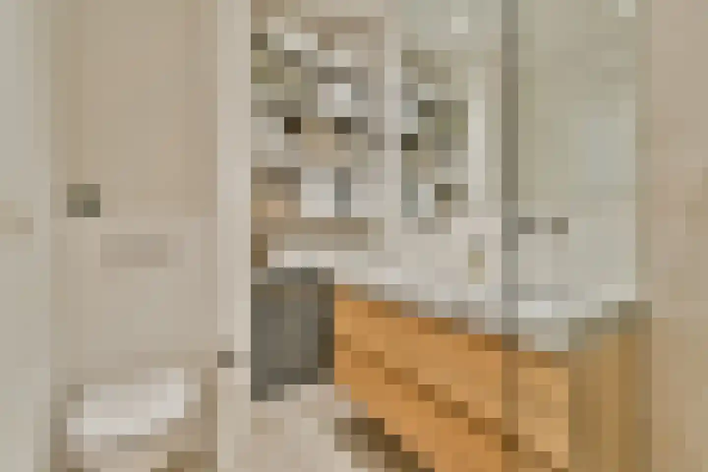 Mesdagstraat 55 4 Amsterdam thumbnail 26