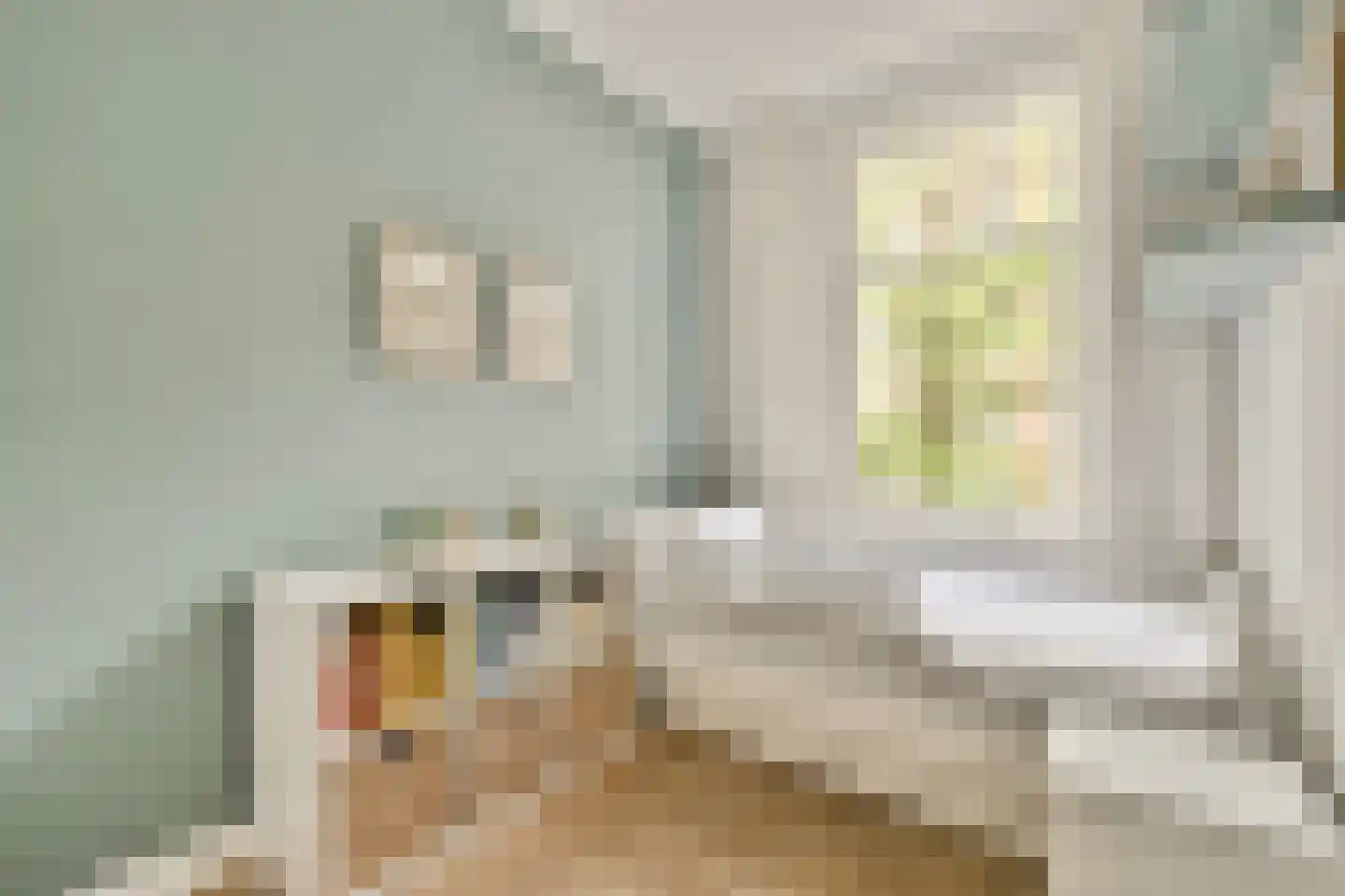 Mesdagstraat 55 4 Amsterdam thumbnail 29