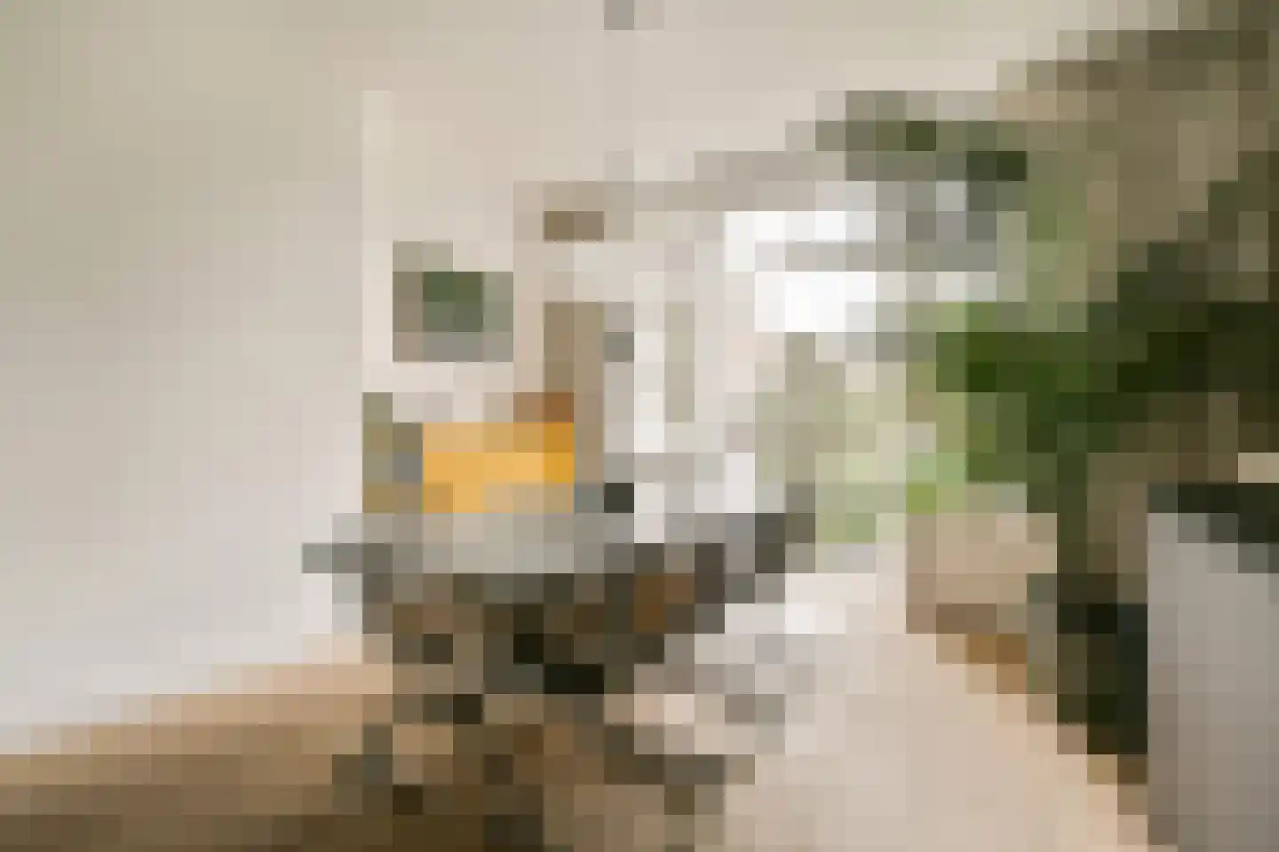 Mesdagstraat 55 H Amsterdam thumbnail 13