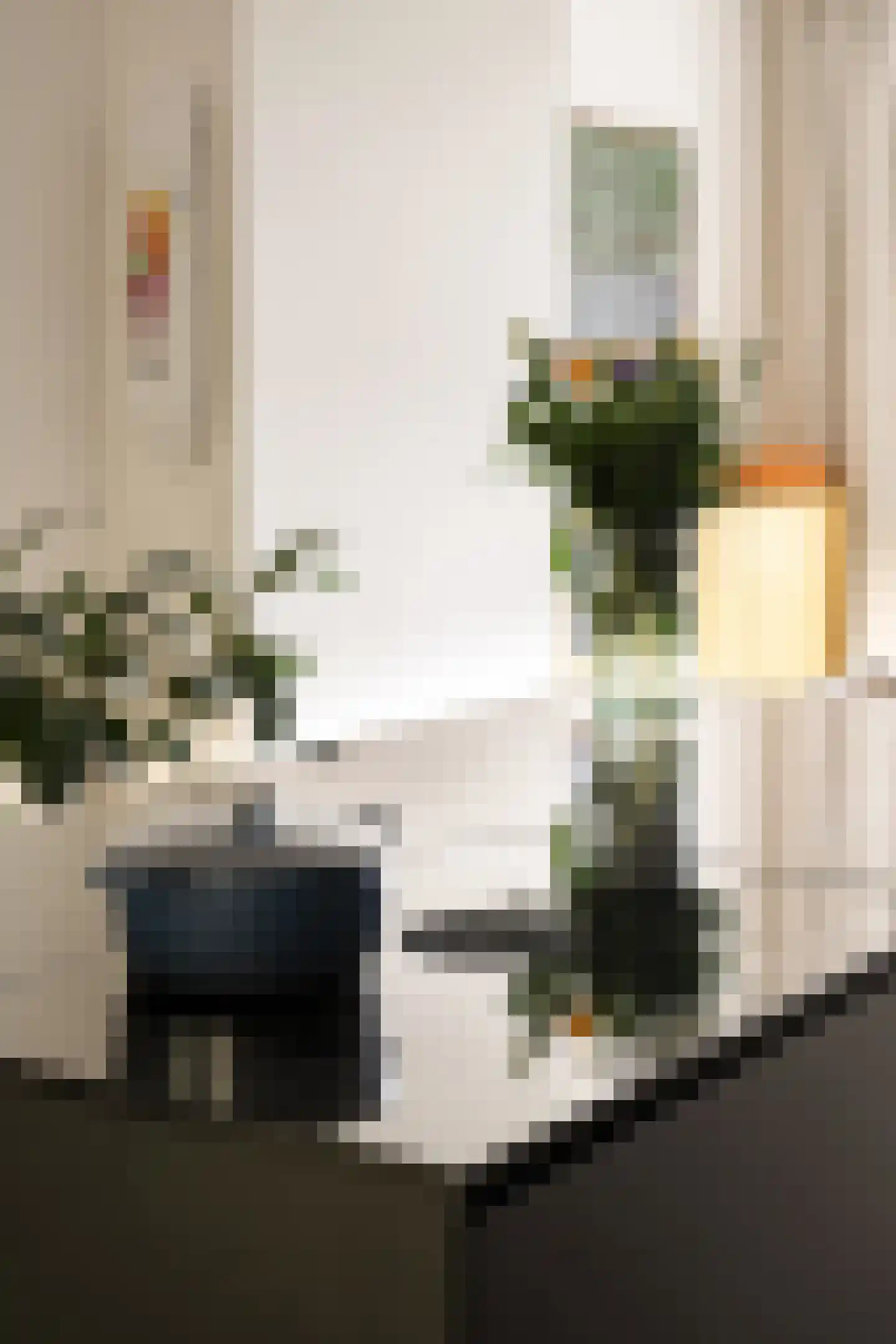 Mesdagstraat 55 H Amsterdam thumbnail 18