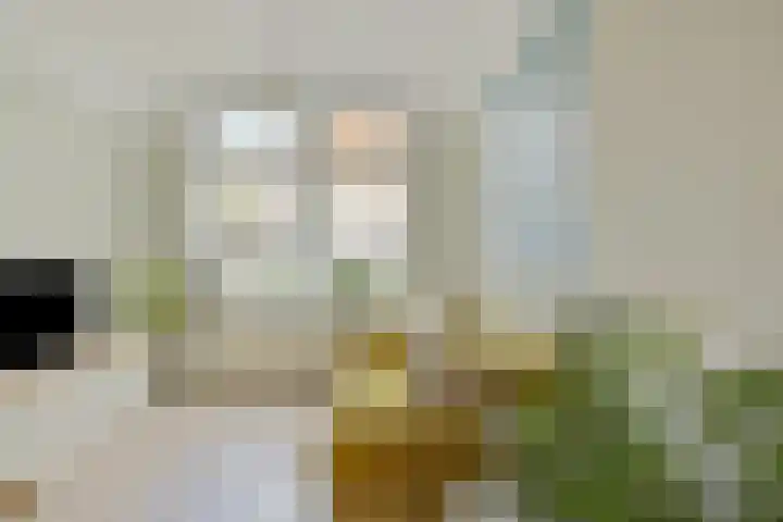 Mesdagstraat 6 Amersfoort thumbnail 5