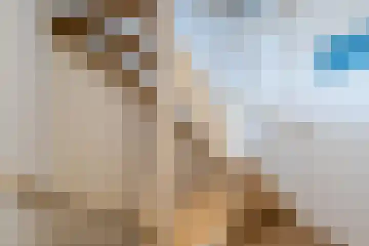 Mesdagstraat 6 Oud-Beijerland thumbnail 18