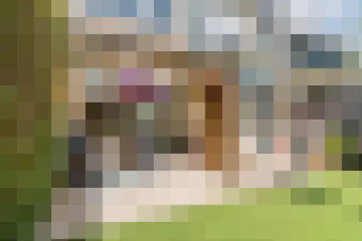 Mesdagstraat 6 Oud-Beijerland thumbnail 22