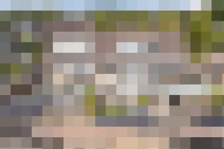 Mesdagstraat 6 Oud-Beijerland thumbnail 25