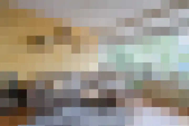 Mesdagstraat 6 Oud-Beijerland thumbnail 4