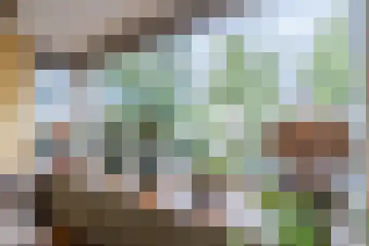 Mesdagstraat 6 Oud-Beijerland thumbnail 5
