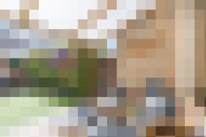 Mesdagstraat 6 Oud-Beijerland thumbnail 8