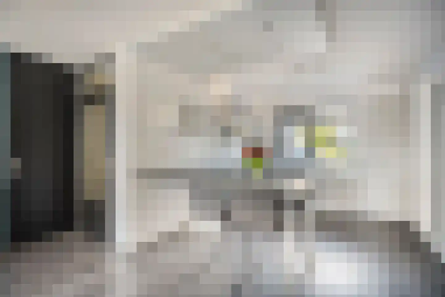 Mesdagstraat 9 Duiven thumbnail 14