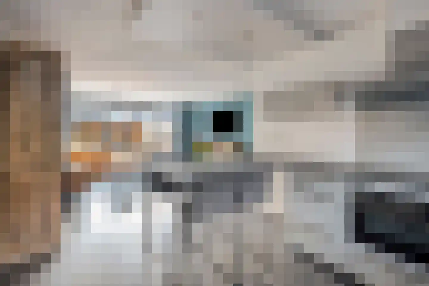 Mesdagstraat 9 Duiven thumbnail 17