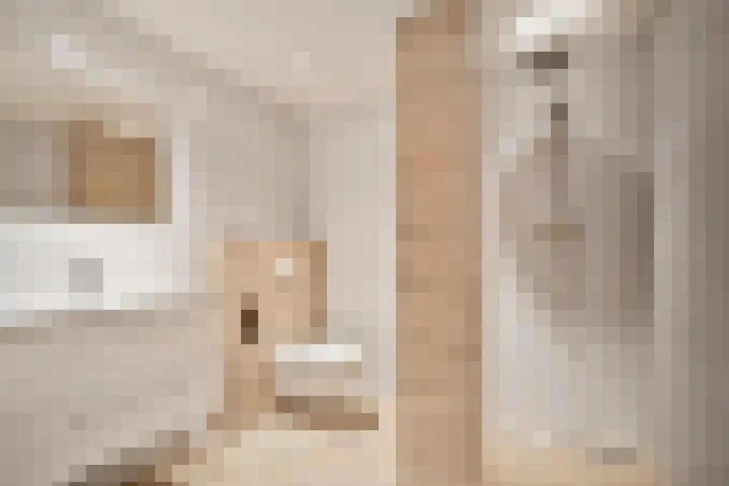 Mesdagstraat 9 Duiven thumbnail 21