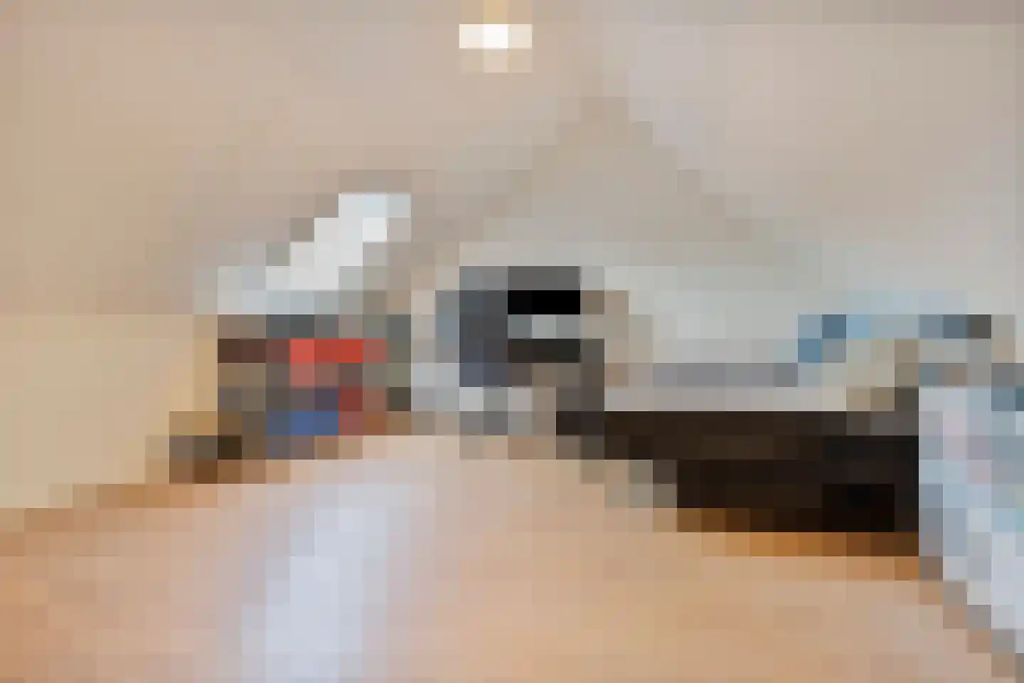 Mesdagstraat 9 Duiven thumbnail 25