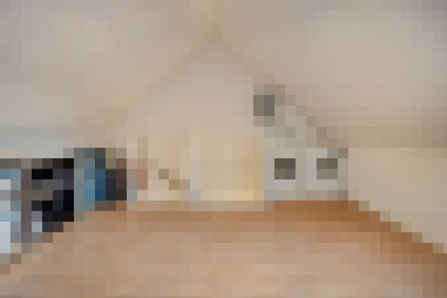 Mesdagstraat 9 Duiven thumbnail 26