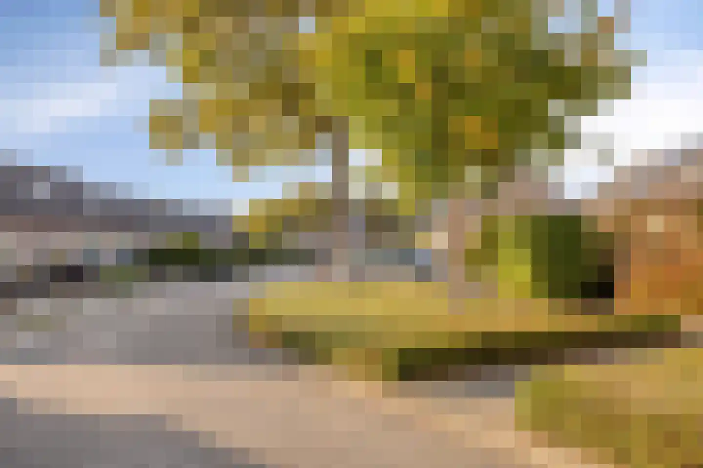 Mesdagstraat 9 Duiven thumbnail 30
