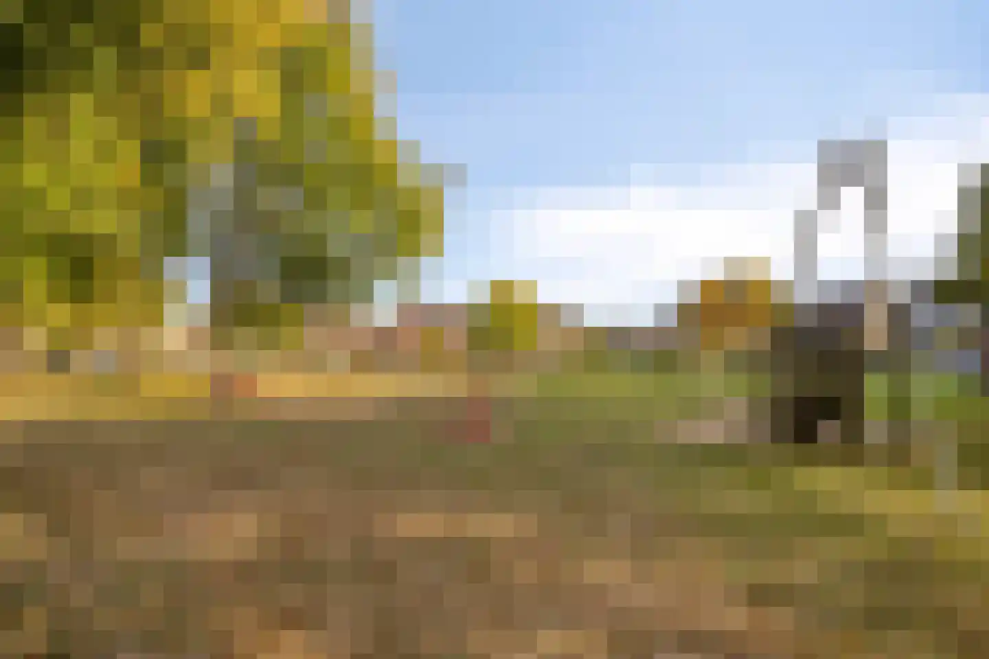 Mesdagstraat 9 Duiven thumbnail 31