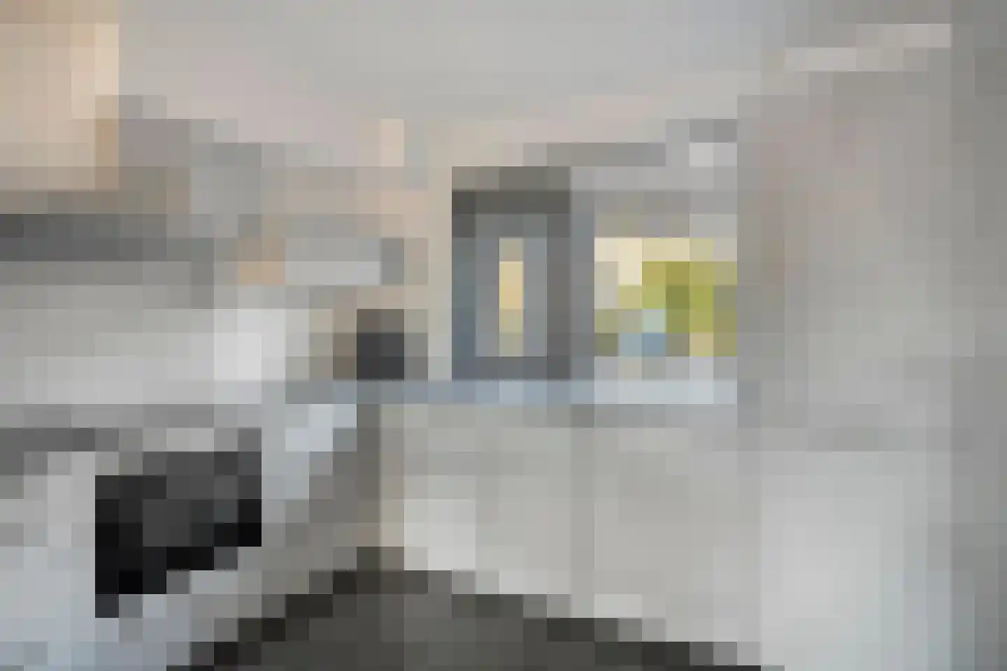 Mesdagstraat 9 Duiven thumbnail 4