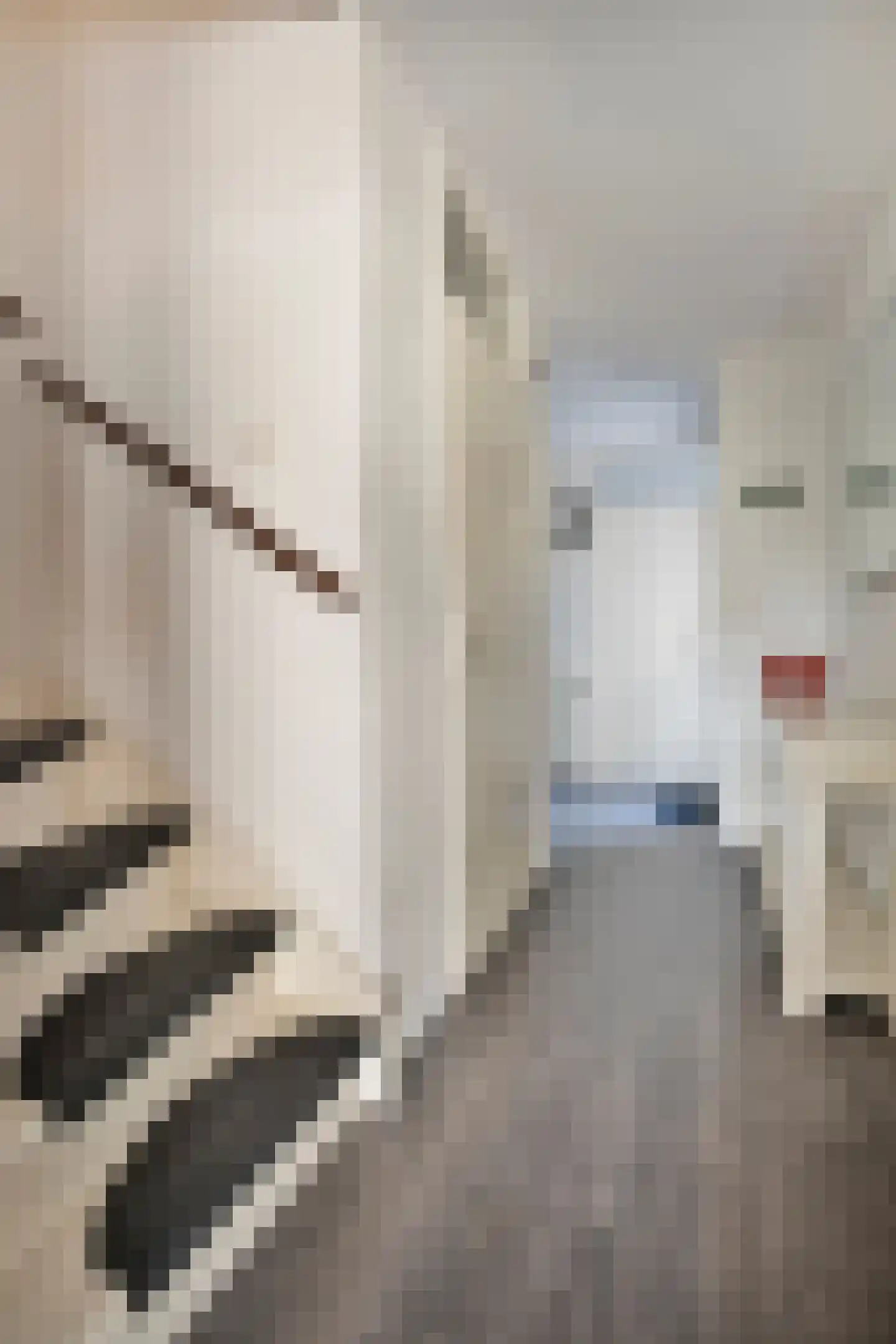 Mesdagstraat 9 Duiven thumbnail 8