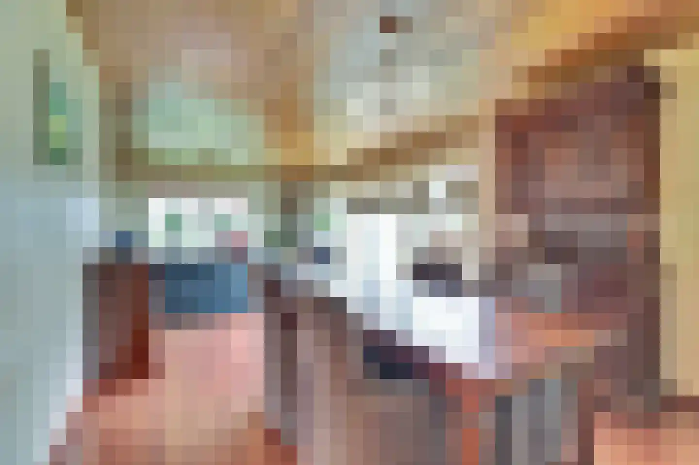 Meseame 24 Berltsum thumbnail 12
