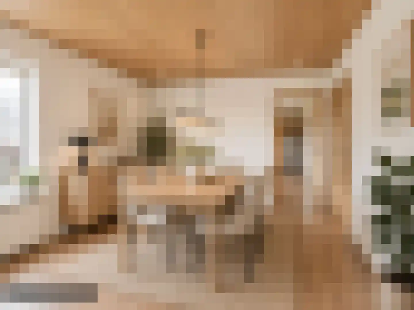 Meseame 24 Berltsum thumbnail 15
