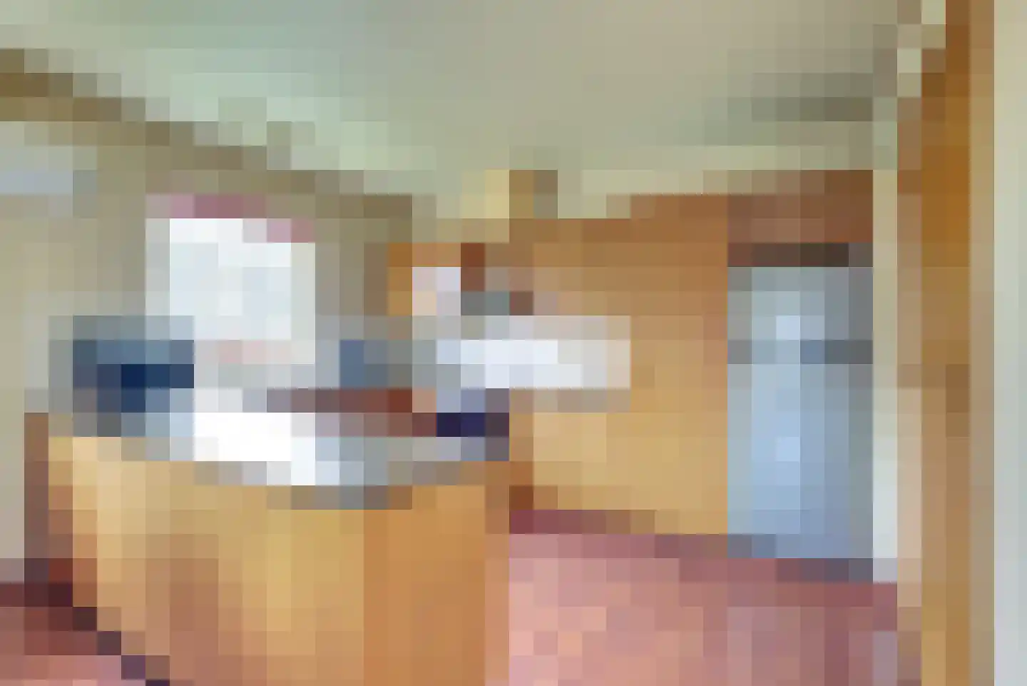 Meseame 24 Berltsum thumbnail 16