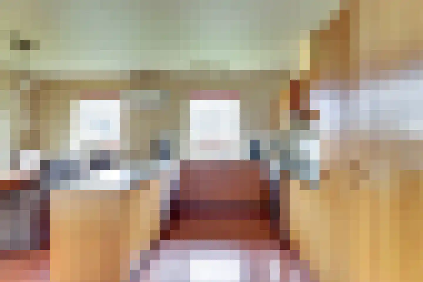 Meseame 24 Berltsum thumbnail 18