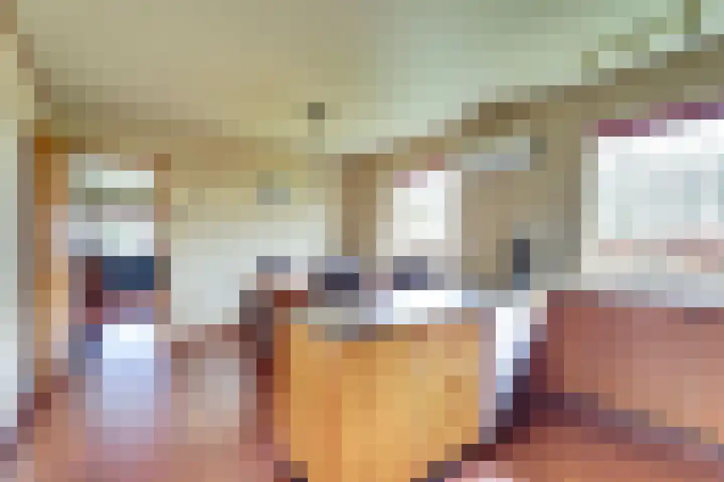 Meseame 24 Berltsum thumbnail 19