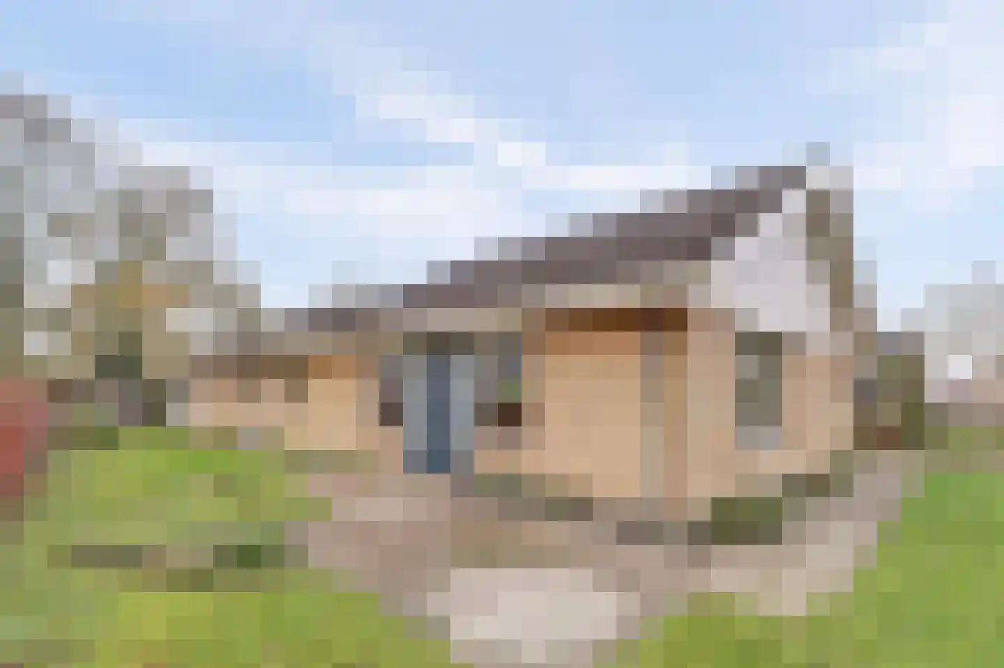 Meseame 24 Berltsum foto 2