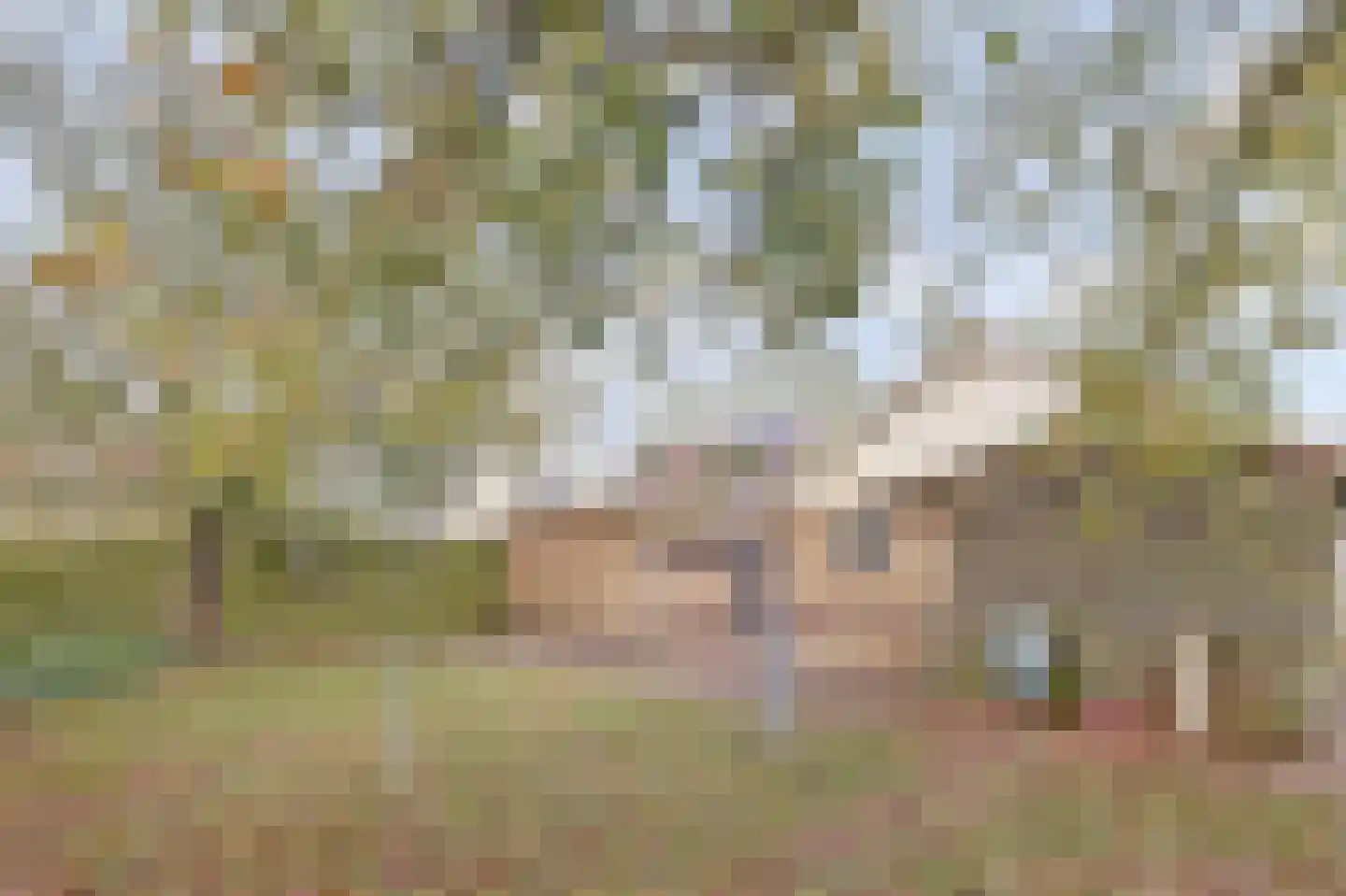 Meseame 24 Berltsum thumbnail 32