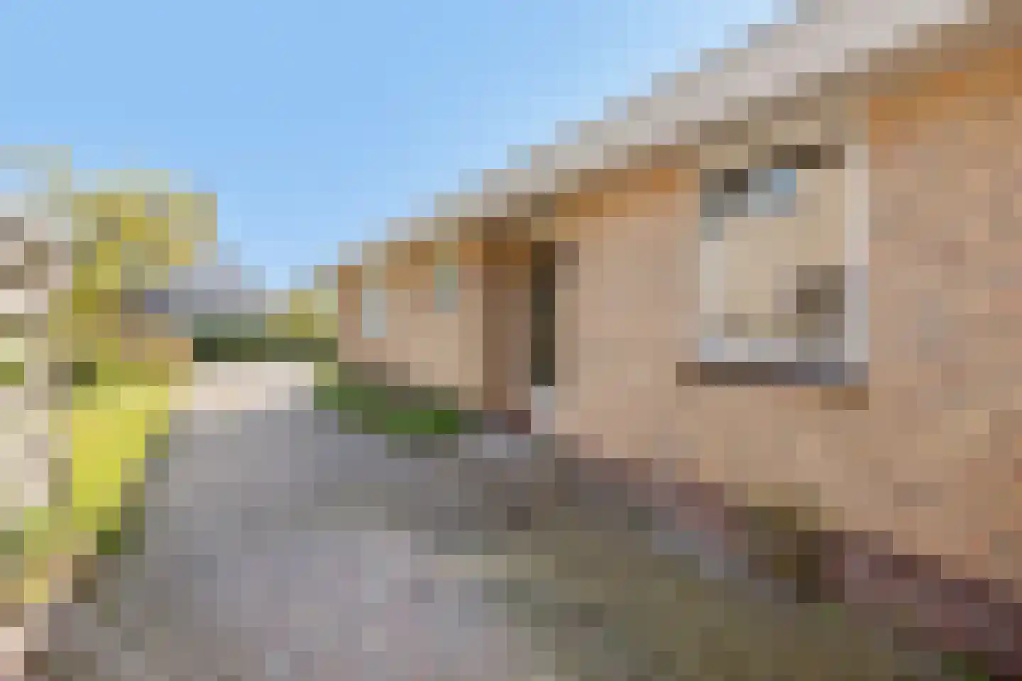 Meseame 24 Berltsum thumbnail 33