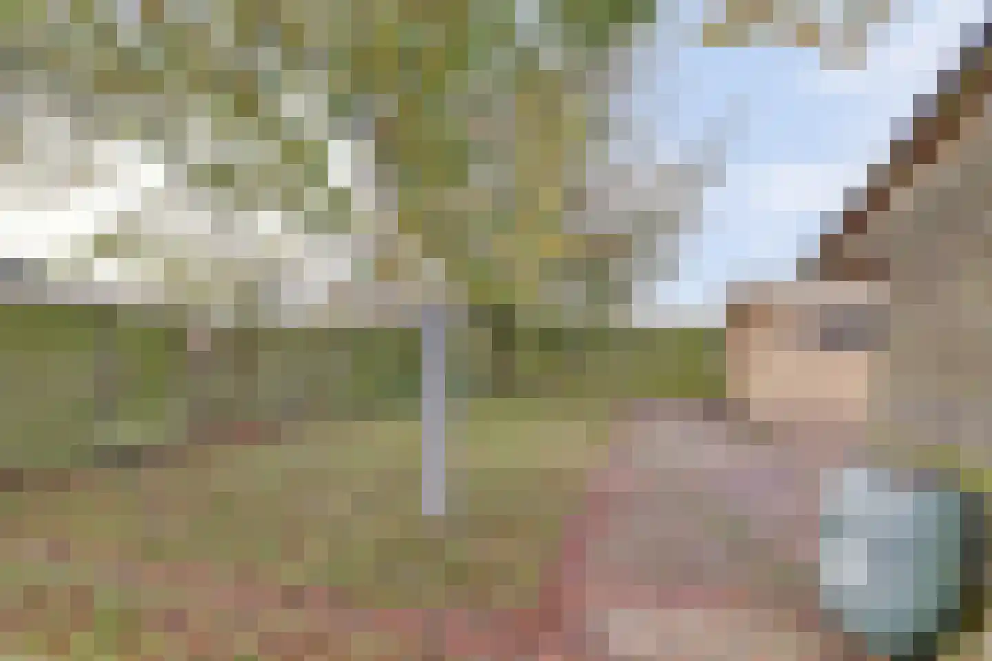 Meseame 24 Berltsum thumbnail 33