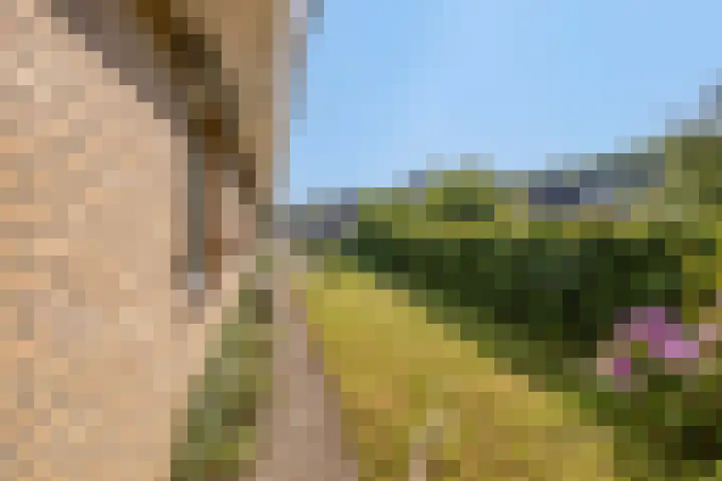 Meseame 24 Berltsum thumbnail 35