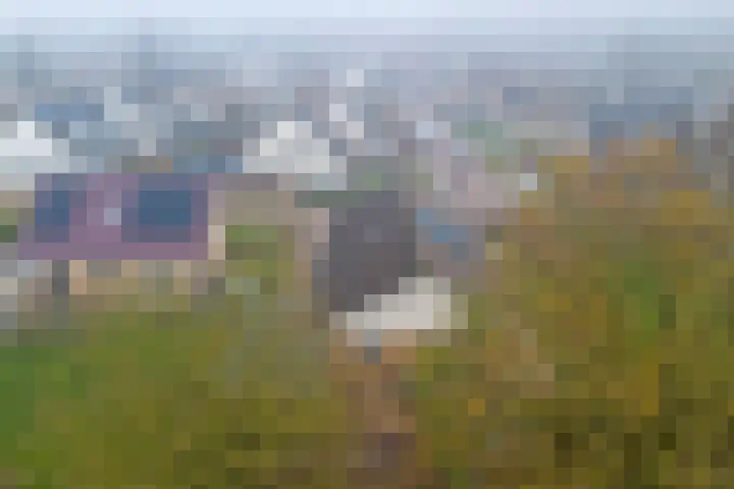 Meseame 24 Berltsum thumbnail 35