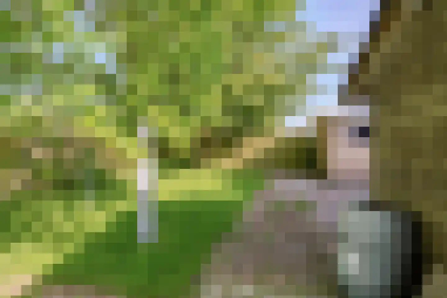 Meseame 24 Berltsum thumbnail 36
