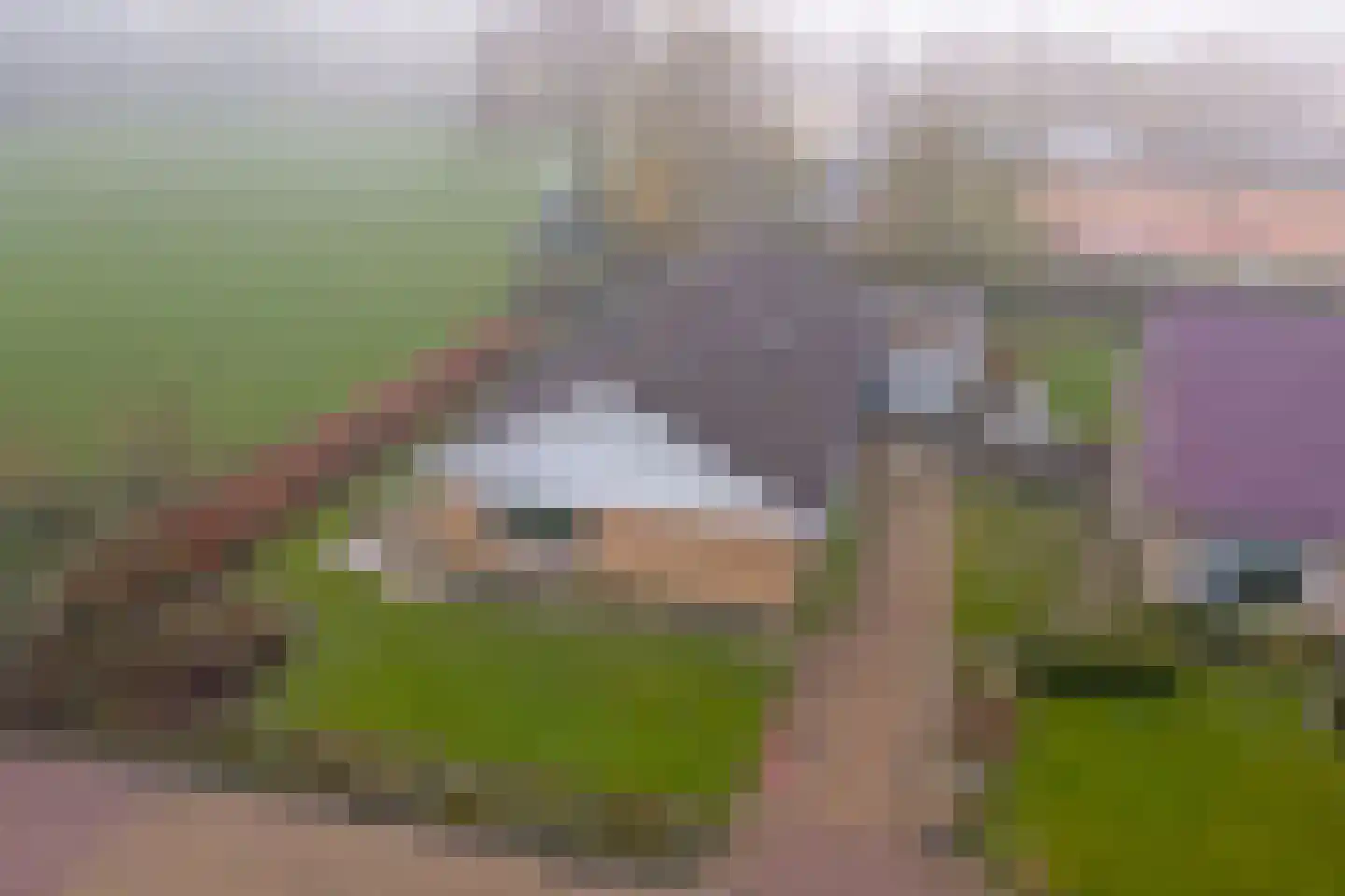 Meseame 24 Berltsum thumbnail 37