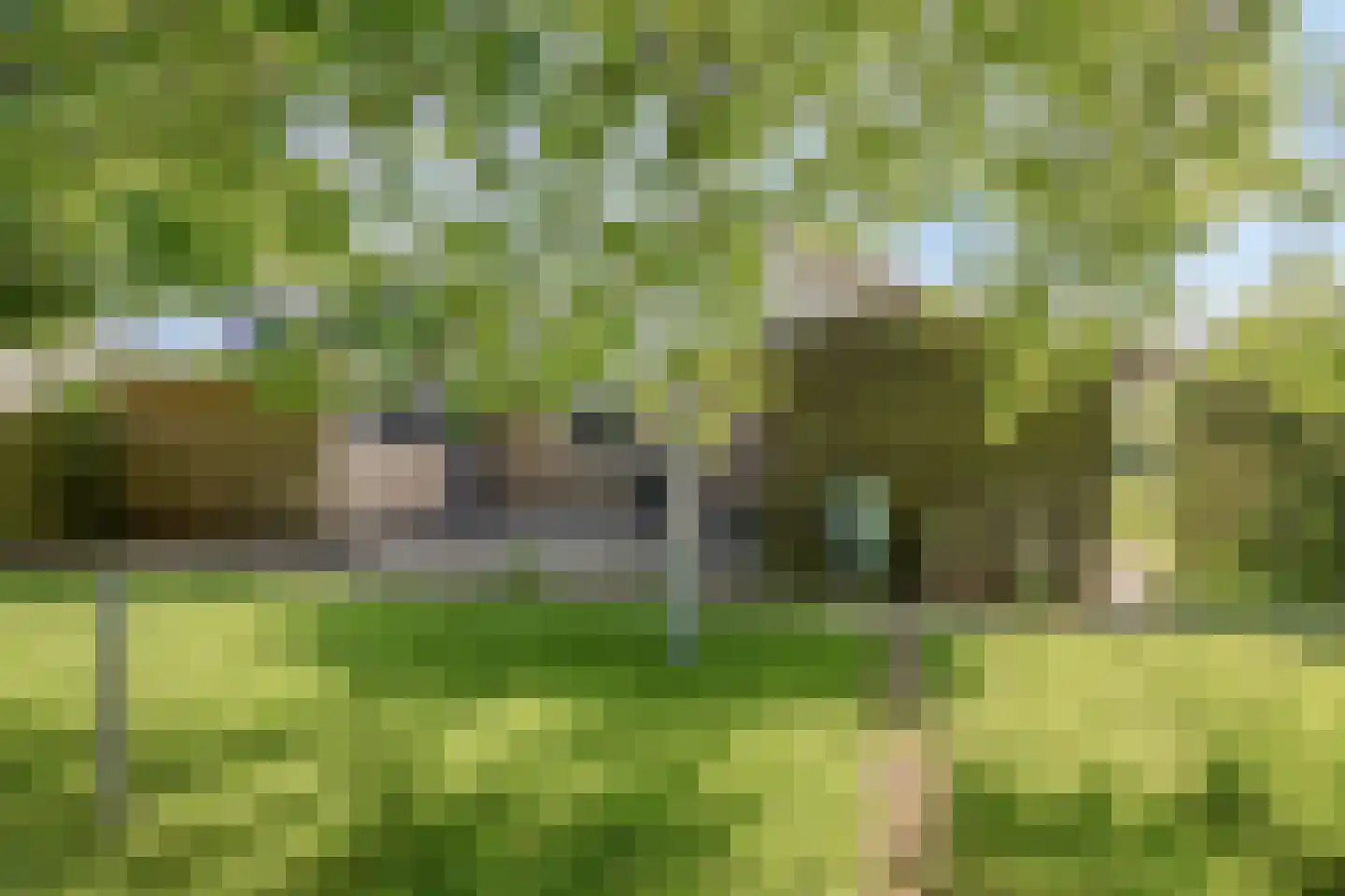 Meseame 24 Berltsum thumbnail 37