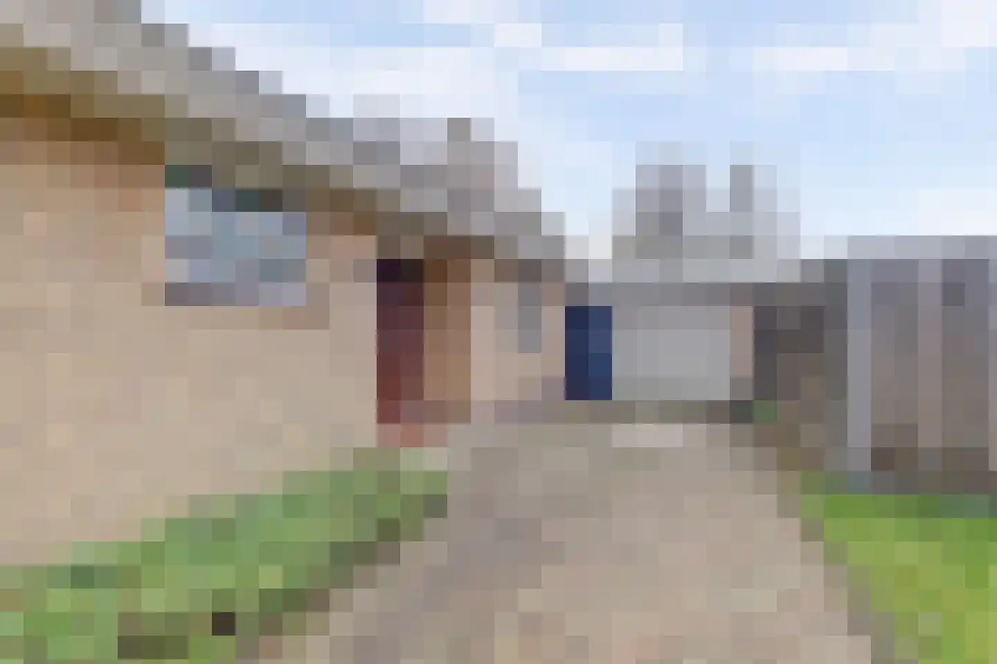 Meseame 24 Berltsum thumbnail 38