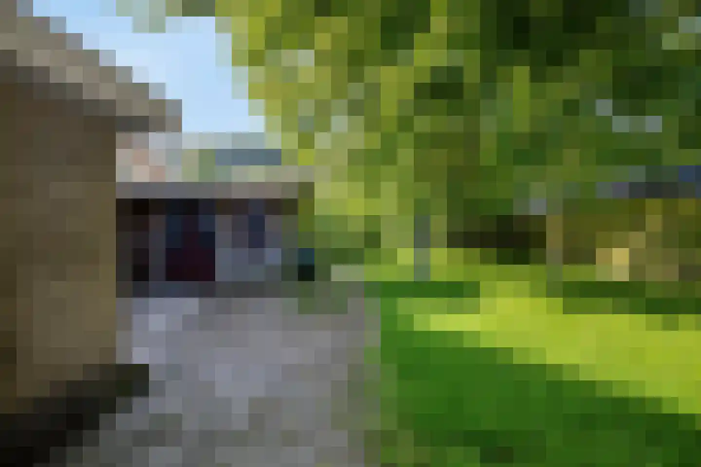 Meseame 24 Berltsum thumbnail 38