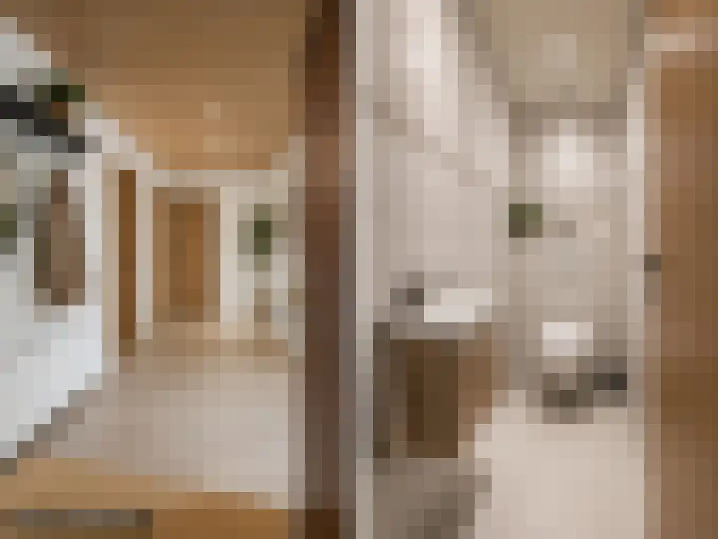 Meseame 24 Berltsum thumbnail 7