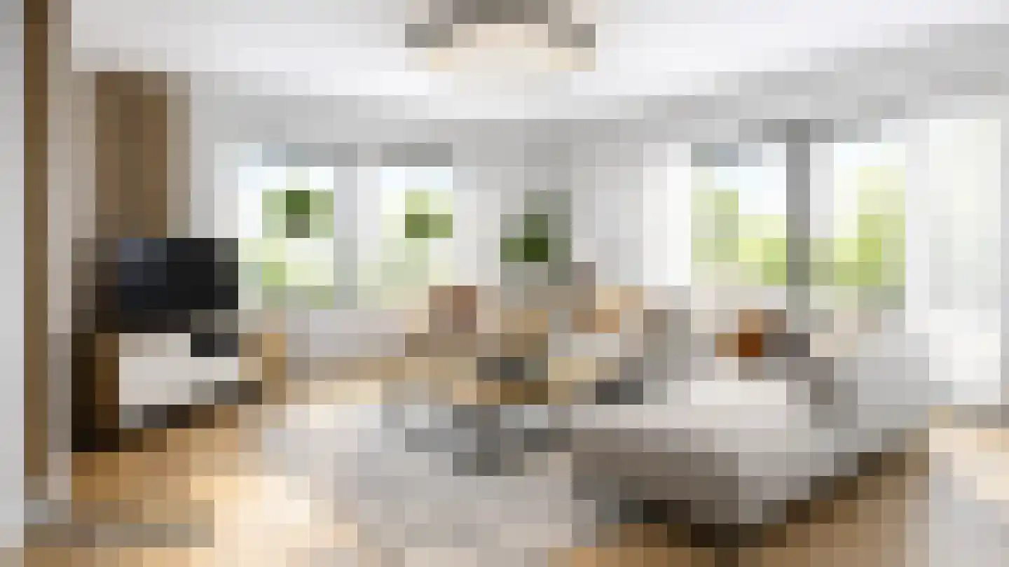 Meseame 24 Berltsum thumbnail 9
